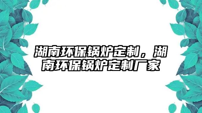湖南環(huán)保鍋爐定制，湖南環(huán)保鍋爐定制廠家