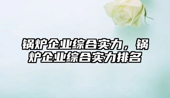 鍋爐企業(yè)綜合實力，鍋爐企業(yè)綜合實力排名