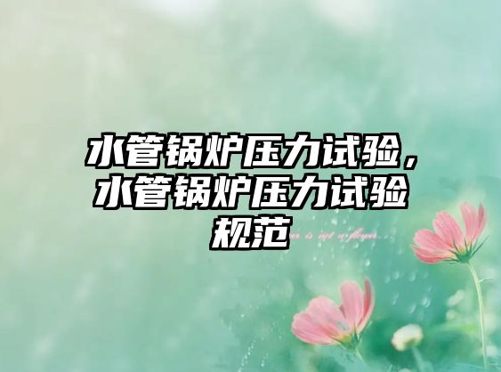 水管鍋爐壓力試驗，水管鍋爐壓力試驗規(guī)范