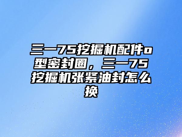 三一75挖掘機(jī)配件o型密封圈，三一75挖掘機(jī)張緊油封怎么換