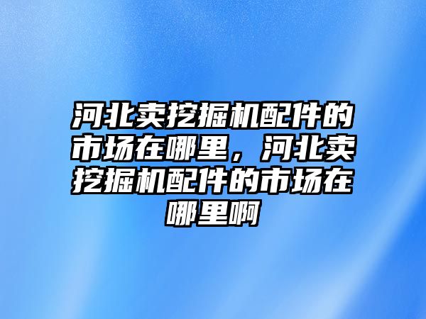 河北賣挖掘機配件的市場在哪里，河北賣挖掘機配件的市場在哪里啊