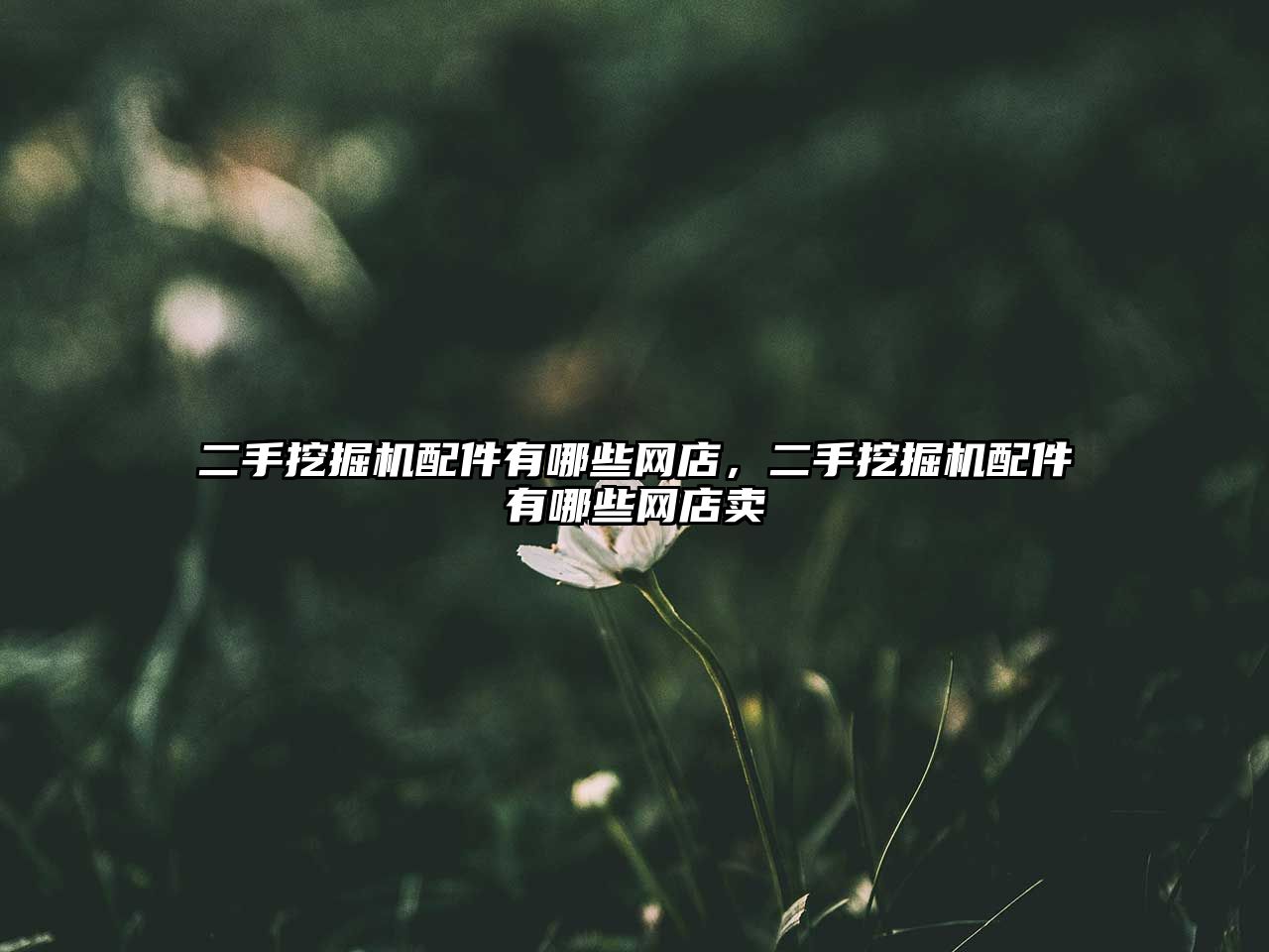 二手挖掘機(jī)配件有哪些網(wǎng)店，二手挖掘機(jī)配件有哪些網(wǎng)店賣