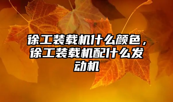 徐工裝載機什么顏色，徐工裝載機配什么發(fā)動機