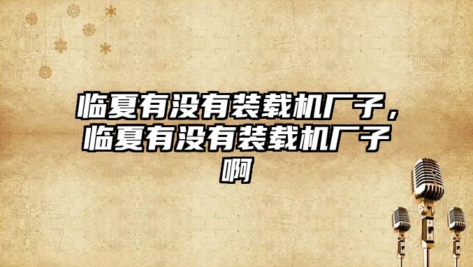 臨夏有沒有裝載機廠子，臨夏有沒有裝載機廠子啊