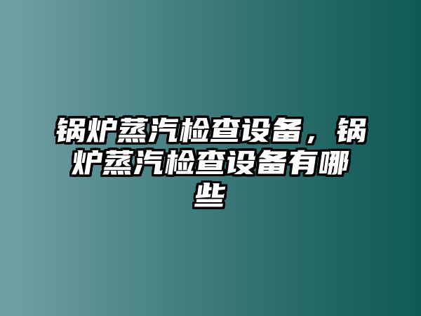 鍋爐蒸汽檢查設備，鍋爐蒸汽檢查設備有哪些