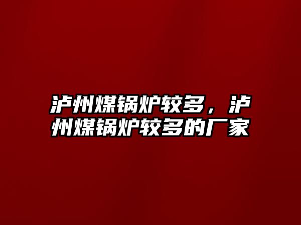 瀘州煤鍋爐較多，瀘州煤鍋爐較多的廠家