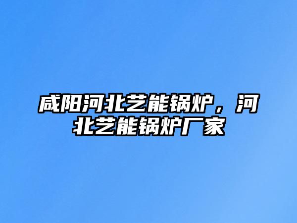 咸陽(yáng)河北藝能鍋爐，河北藝能鍋爐廠家