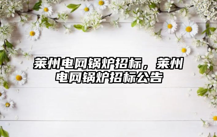 萊州電網鍋爐招標，萊州電網鍋爐招標公告