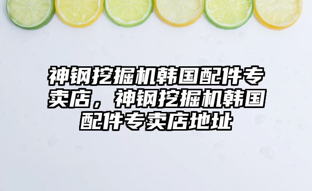 神鋼挖掘機(jī)韓國配件專賣店，神鋼挖掘機(jī)韓國配件專賣店地址