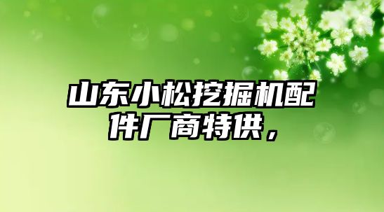 山東小松挖掘機配件廠商特供，