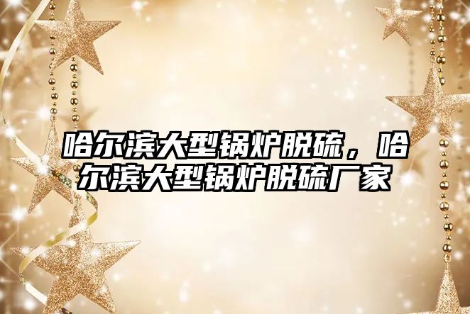 哈爾濱大型鍋爐脫硫，哈爾濱大型鍋爐脫硫廠家