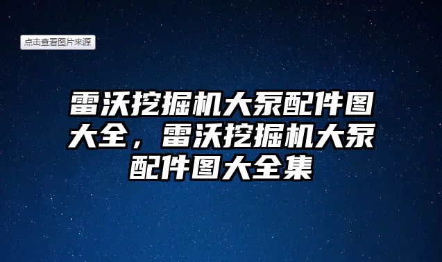 雷沃挖掘機大泵配件圖大全，雷沃挖掘機大泵配件圖大全集