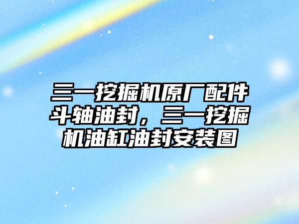 三一挖掘機(jī)原廠配件斗軸油封，三一挖掘機(jī)油缸油封安裝圖