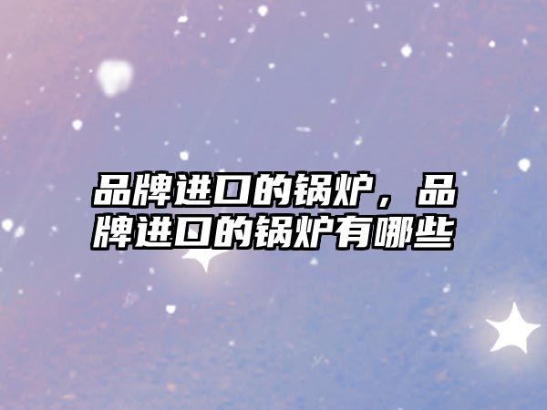 品牌進(jìn)口的鍋爐，品牌進(jìn)口的鍋爐有哪些