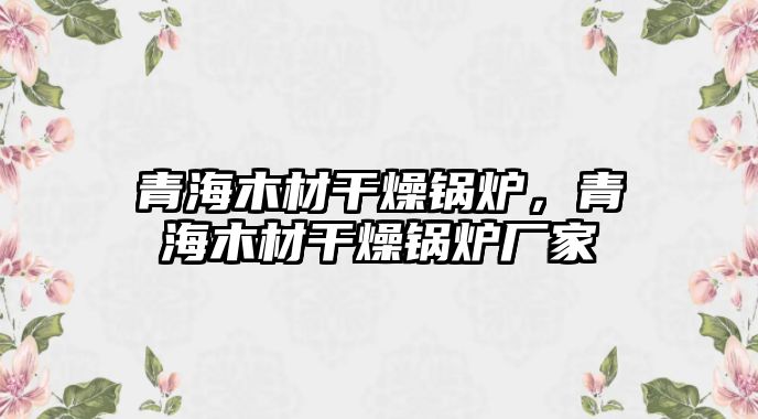 青海木材干燥鍋爐，青海木材干燥鍋爐廠家