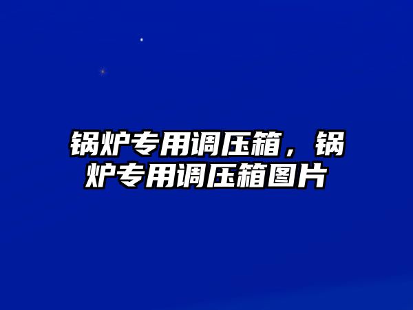 鍋爐專用調(diào)壓箱，鍋爐專用調(diào)壓箱圖片