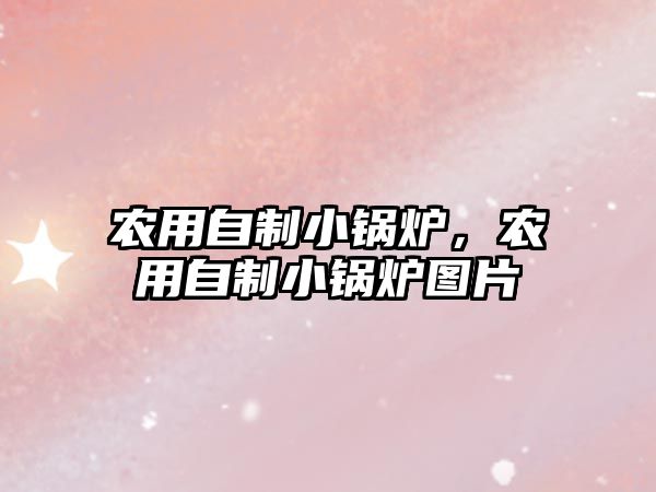 農(nóng)用自制小鍋爐，農(nóng)用自制小鍋爐圖片
