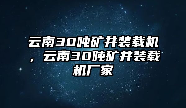 云南30噸礦井裝載機，云南30噸礦井裝載機廠家
