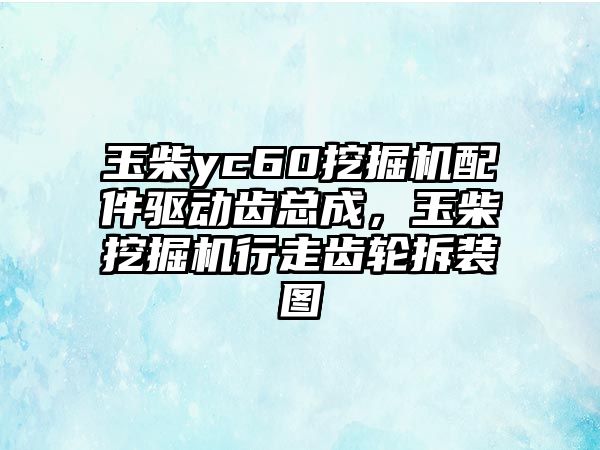 玉柴yc60挖掘機(jī)配件驅(qū)動齒總成，玉柴挖掘機(jī)行走齒輪拆裝圖