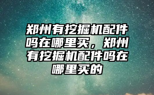 鄭州有挖掘機配件嗎在哪里買，鄭州有挖掘機配件嗎在哪里買的