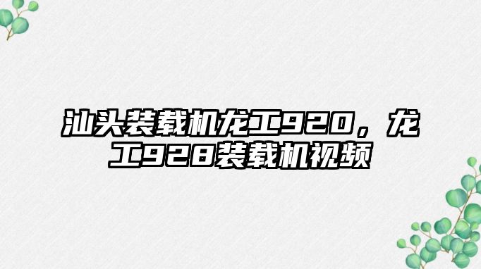 汕頭裝載機龍工920，龍工928裝載機視頻