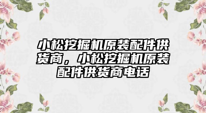 小松挖掘機(jī)原裝配件供貨商，小松挖掘機(jī)原裝配件供貨商電話