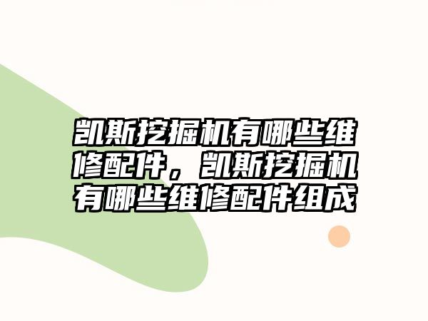 凱斯挖掘機(jī)有哪些維修配件，凱斯挖掘機(jī)有哪些維修配件組成