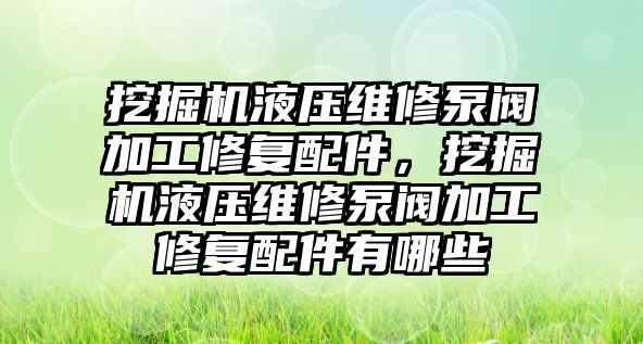 挖掘機(jī)液壓維修泵閥加工修復(fù)配件，挖掘機(jī)液壓維修泵閥加工修復(fù)配件有哪些