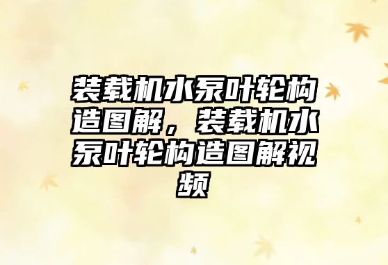 裝載機(jī)水泵葉輪構(gòu)造圖解，裝載機(jī)水泵葉輪構(gòu)造圖解視頻