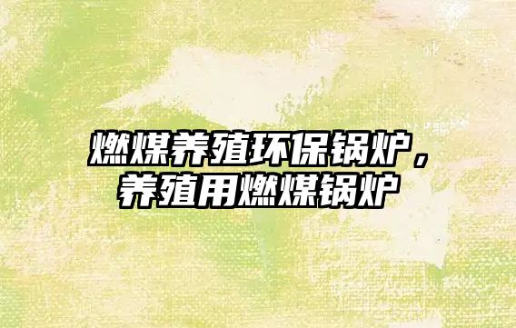 燃煤養(yǎng)殖環(huán)保鍋爐，養(yǎng)殖用燃煤鍋爐