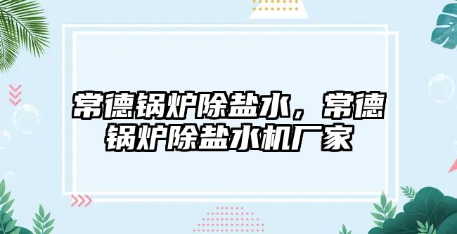 常德鍋爐除鹽水，常德鍋爐除鹽水機廠家