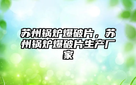 蘇州鍋爐爆破片，蘇州鍋爐爆破片生產(chǎn)廠家