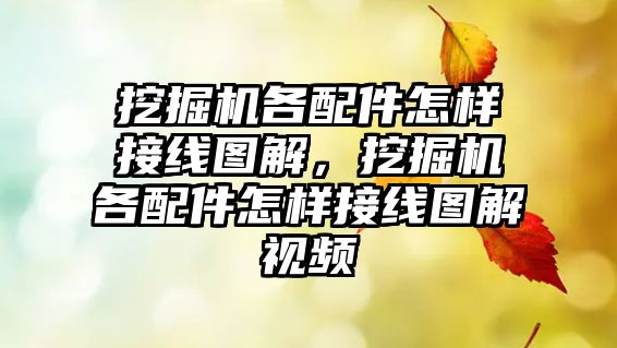 挖掘機(jī)各配件怎樣接線圖解，挖掘機(jī)各配件怎樣接線圖解視頻