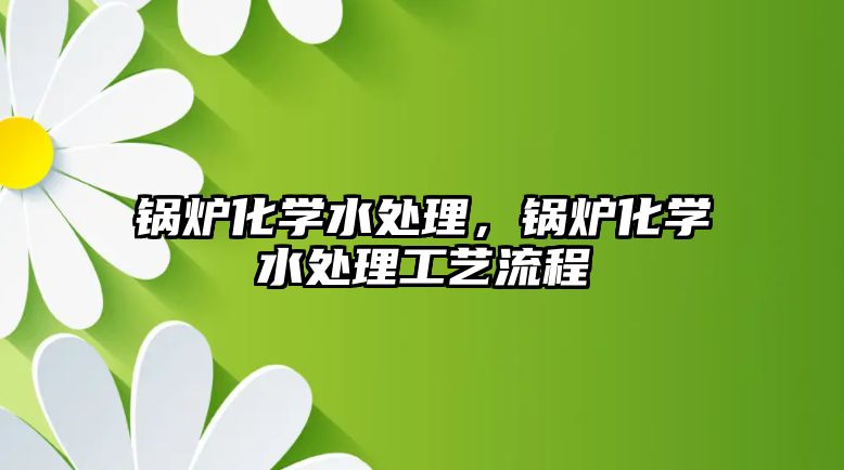 鍋爐化學(xué)水處理，鍋爐化學(xué)水處理工藝流程