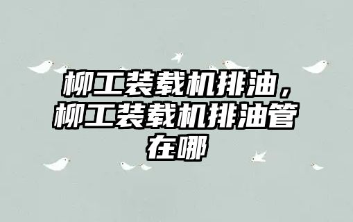 柳工裝載機排油，柳工裝載機排油管在哪