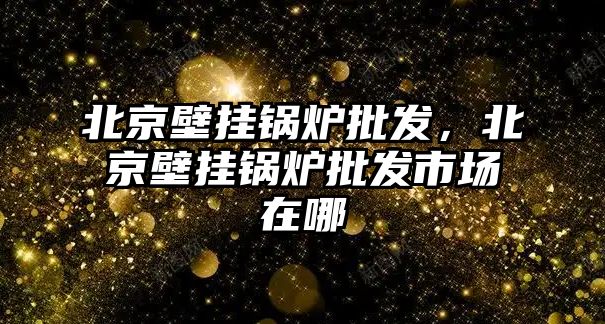 北京壁掛鍋爐批發(fā)，北京壁掛鍋爐批發(fā)市場在哪