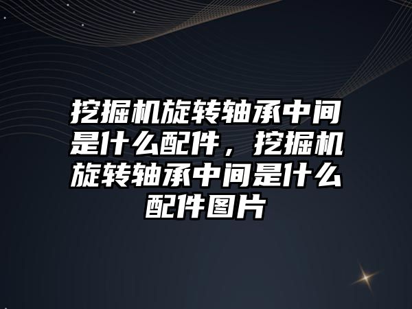 挖掘機(jī)旋轉(zhuǎn)軸承中間是什么配件，挖掘機(jī)旋轉(zhuǎn)軸承中間是什么配件圖片