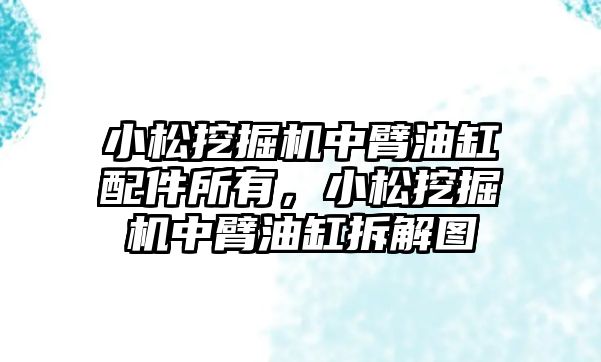 小松挖掘機中臂油缸配件所有，小松挖掘機中臂油缸拆解圖