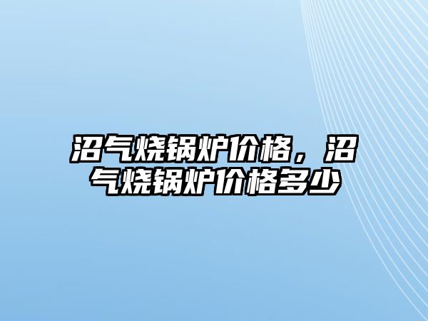 沼氣燒鍋爐價格，沼氣燒鍋爐價格多少