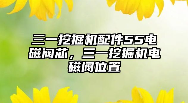 三一挖掘機(jī)配件55電磁閥芯，三一挖掘機(jī)電磁閥位置