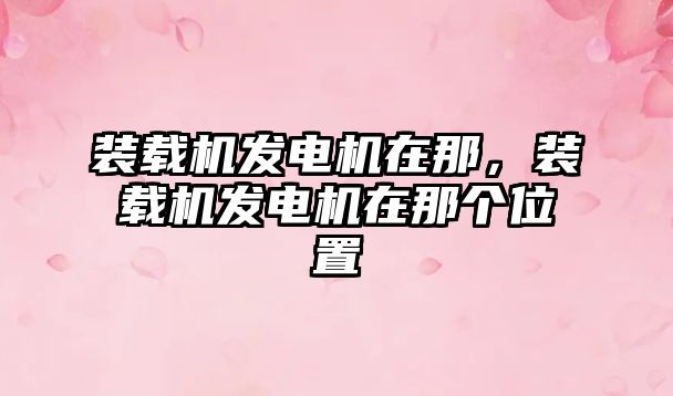 裝載機(jī)發(fā)電機(jī)在那，裝載機(jī)發(fā)電機(jī)在那個(gè)位置