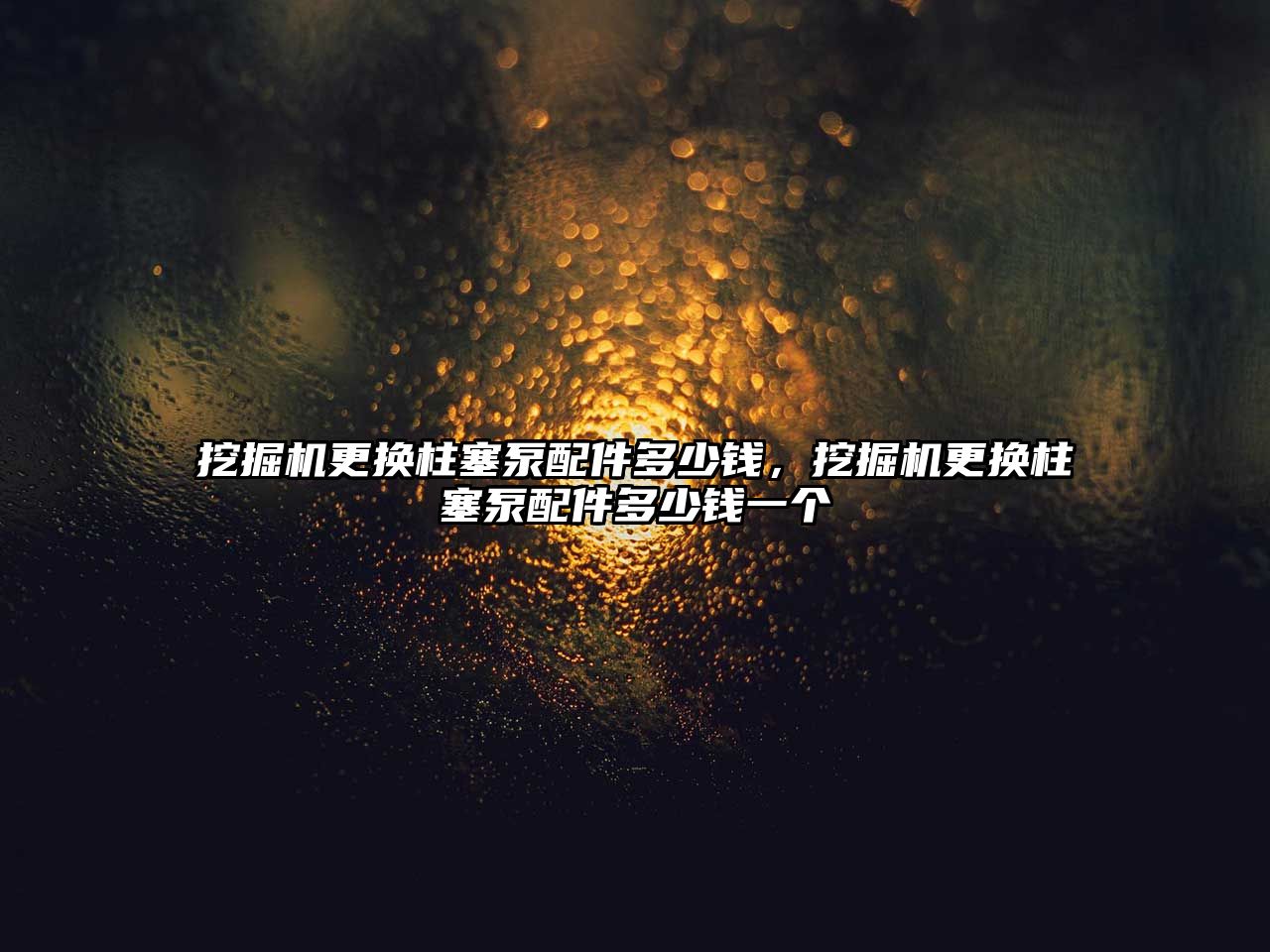 挖掘機更換柱塞泵配件多少錢，挖掘機更換柱塞泵配件多少錢一個