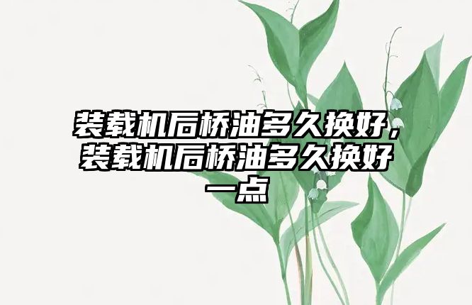 裝載機(jī)后橋油多久換好，裝載機(jī)后橋油多久換好一點(diǎn)