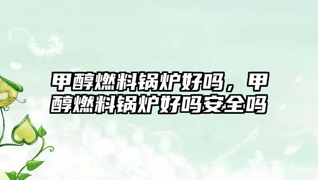 甲醇燃料鍋爐好嗎，甲醇燃料鍋爐好嗎安全嗎