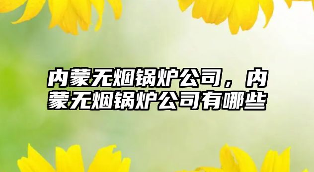內(nèi)蒙無(wú)煙鍋爐公司，內(nèi)蒙無(wú)煙鍋爐公司有哪些