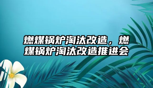 燃煤鍋爐淘汰改造，燃煤鍋爐淘汰改造推進會