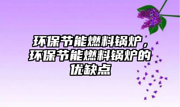 環(huán)保節(jié)能燃料鍋爐，環(huán)保節(jié)能燃料鍋爐的優(yōu)缺點