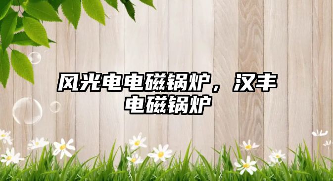 風光電電磁鍋爐，漢豐電磁鍋爐