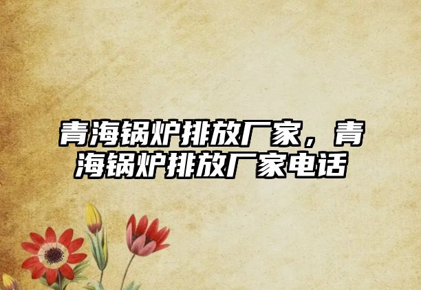 青海鍋爐排放廠家，青海鍋爐排放廠家電話