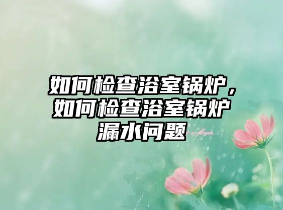 如何檢查浴室鍋爐，如何檢查浴室鍋爐漏水問題